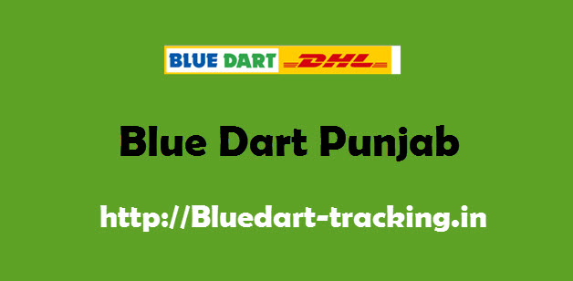 Blue Dart Punjab