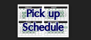 Blue Dart Schedule A Pickup