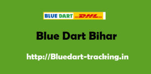 Blue Dart Bihar