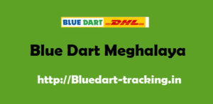 Blue Dart Meghalaya